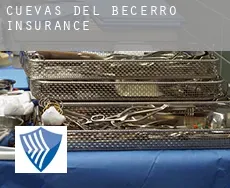 Cuevas del Becerro  insurance