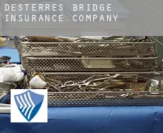 D’Esterre’s Bridge  insurance company