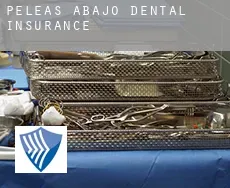 Peleas de Abajo  dental insurance
