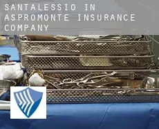Sant'Alessio in Aspromonte  insurance company