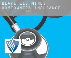 Blaye-les-Mines  homeowners insurance