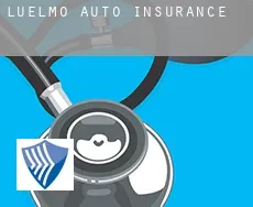 Luelmo  auto insurance